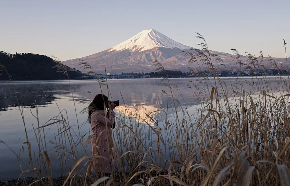 ギャラリー写真11